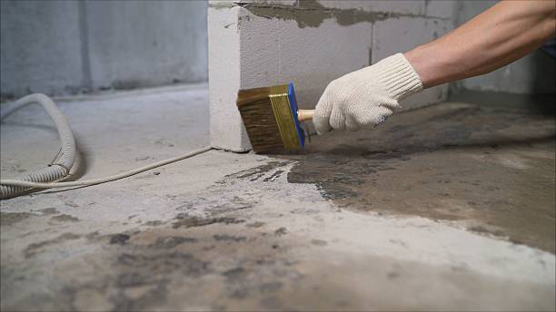 SJ Waterproofing Pros Basement Waterproofing coverage map for Titus, AL and surrounding area